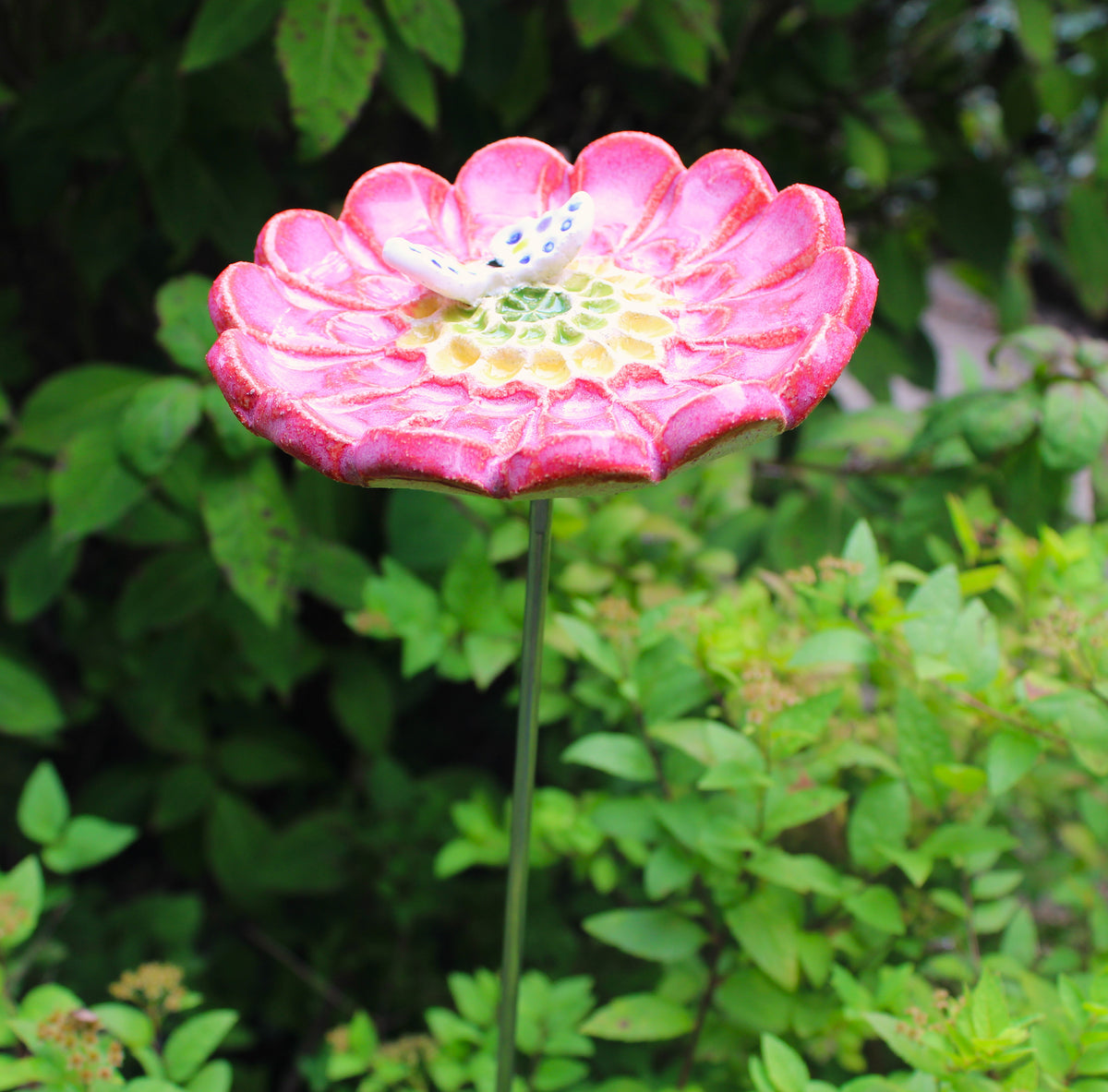 Garden Flower (Bee and Butterfly Hydration Station)